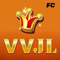 vvjl 13