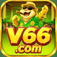 v66