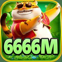 6666m