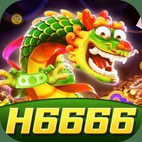 h6666