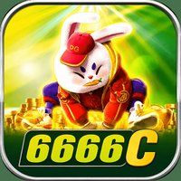 6666c 1