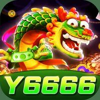 y6666 0