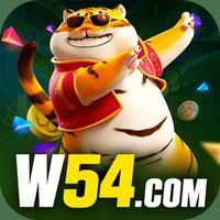 w54 2