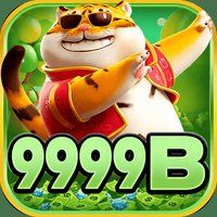 9999b 2