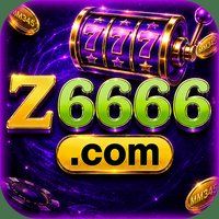 z6666 1