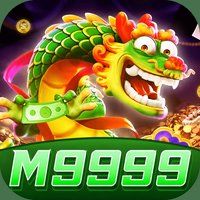 m9999 1