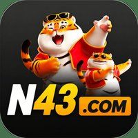 n43 3