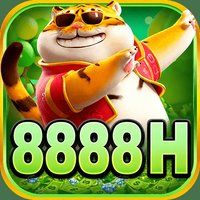 8888h 3
