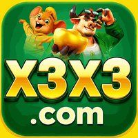 x3x3 4