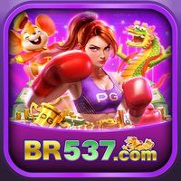 br537