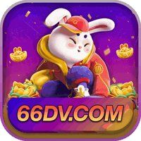 66dv 0