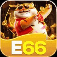e66 0