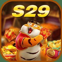 s29 0