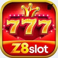 z8slot h